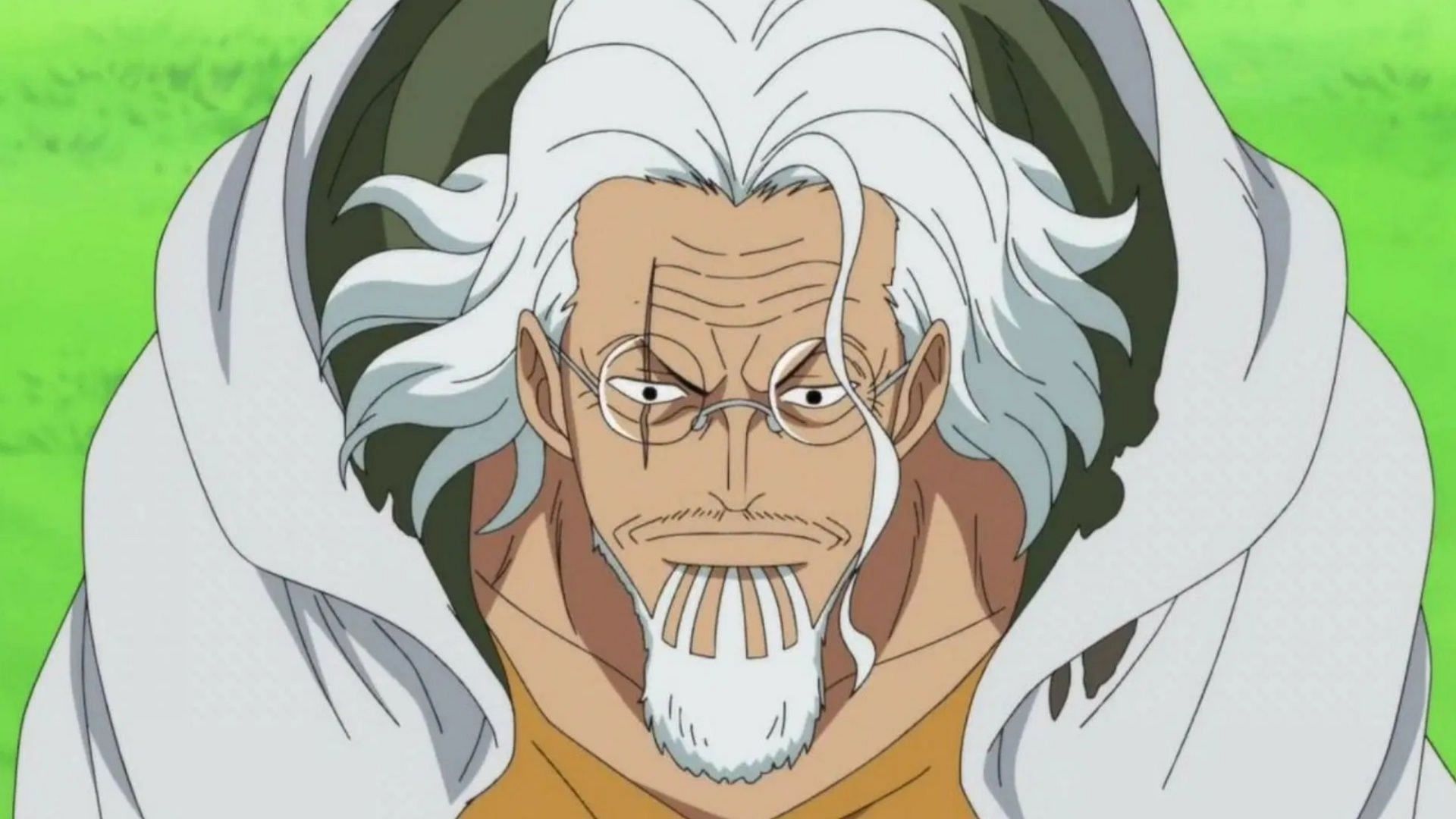 One of the One Piece Characters, Silvers Rayleigh (Image via Toei Animation)